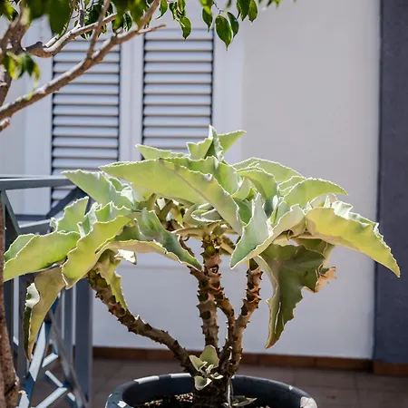 Penthouse Playa Del Cura - Appartement Torrevieja