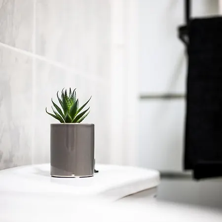 Penthouse Playa Del Cura - * 또레비에하